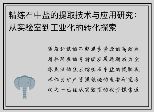 精练石中盐的提取技术与应用研究：从实验室到工业化的转化探索